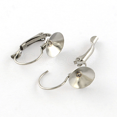 304 Stainless Steel Leverback Earring Findings STAS-R083-20-1