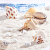 Natural Shell Home Display Decoration Sets SSHEL-T016-13-3