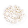 Shell Pearl Half Drilled Beads X-BSHE-G011-01-12mm-2