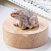 Natural Red Line Jasper Carved Healing Frog Figurines PW-WG28161-17-1