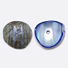 Dyed Natural Spiral Shell Chips Beads X-SHEL-A003-B01-2