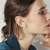 ANATTASOUL 20Pcs 20 Style Multi Line & Leaf & Criss Cross Alloy & Iron Cuff Earrings for Women EJEW-AN0003-53-4
