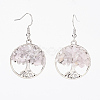 Natural Gemstone Dangle Earrings X-EJEW-JE02475-2