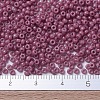 MIYUKI Round Rocailles Beads X-SEED-G007-RR4487-4