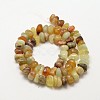 Natural Xiuyu Jade Nuggets Beads Strands G-P091-29-2