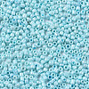 Glass Seed Beads SEED-S060-A-967-3