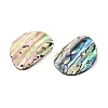 Natural Paua Shell Pendants SHEL-T020-12-2