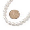 Natural Pearl Beaded Necklaces for Women NJEW-JN04107-01-5