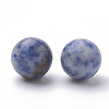 Natural Blue Spot Jasper Beads G-S289-15-10mm-2