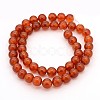 Natural Carnelian Beads Strands X-GSR8MM060-1-3