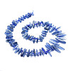 Natural Kyanite Beads Strands G-E569-O02-2