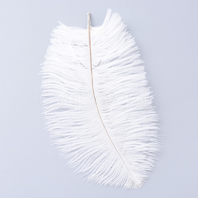 Ostrich Feather Costume Accessories FIND-R036-C-16-1