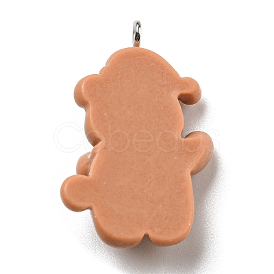 Opaque Resin Pendants CRES-D010-02K-1