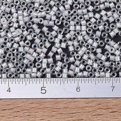 MIYUKI Delica Beads X-SEED-J020-DB1701-1