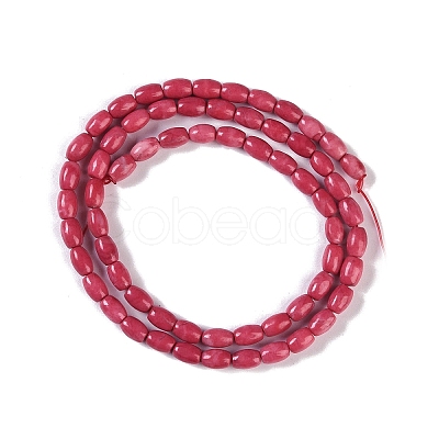 Natural Howlite Beads Strands G-K362-I07-01-1