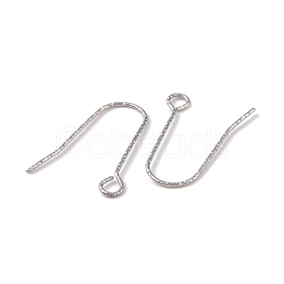 Tarnish Resistant 316 Stainless Steel Earring Hooks STAS-C059-10P-1