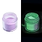 6G Nail Art Luminous Powder, Shining Nail Art Decoration Accessories, Lilac, 0.1~0.5x0.1~0.5mm