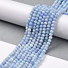 Faceted Electroplated Glass Beads Strands GLAA-C023-02-C16-3