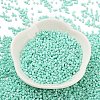 Baking Paint Glass Seed Beads X-SEED-S042-05B-61-2