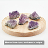 Amethyst Crystal Cluster Ornaments Home Display Decorations DJEW-WH0063-17-5