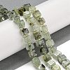 Natural Prehnite Beads Strands G-G053-B12-01C-2