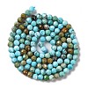 Natural Howlite Beads Strands G-C025-02B-06-3