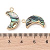 Natural Paua Shell Pendants SHEL-P017-24G-3