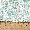 Baking Paint Glass Seed Beads SEED-F005-01A-01-4