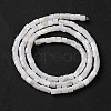 Natural Freshwater Shell Beads Strands BSHE-S304-08-2