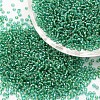 6/0 Transparent Glass Round Seed Beads X-SEED-J010-F6-39-1