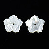 Natural White Shell Mother of Pearl Shell Beads SSHEL-T014-42A-3
