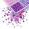 1068Pcs 6 Colors Glass Seed Beads SEED-FS0001-14-4