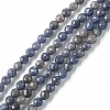 Natural Sapphire Beads Strands G-F748-M01-01-1