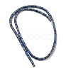 Natural Lapis Lazuli Beads Strands G-C084-D12-02-3