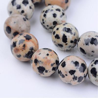 Natural Dalmatian Jasper Beads Strands G-Q462-4mm-30-1