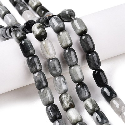 Natural Eagle Eye Stone Beads Strands G-G980-43-1