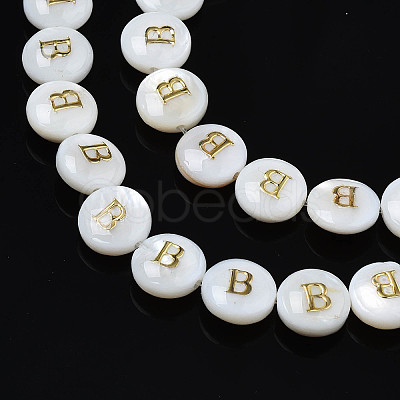 Natural Freshwater Shell Beads SHEL-S276-168B-1