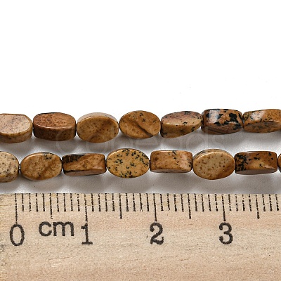 Natural Picture Jasper Beads Strands G-M420-H10-03-1