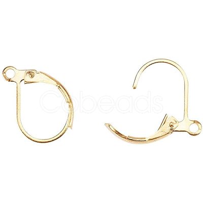 Brass Leverback Earring Findings KK-PH0026-22G-RS-1