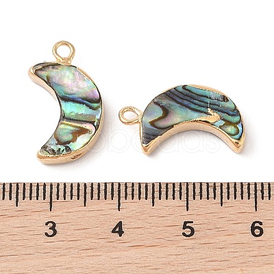 Natural Paua Shell Pendants SHEL-P017-24G-1