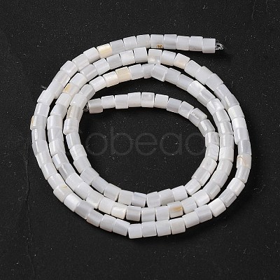 Natural Freshwater Shell Beads Strands BSHE-S304-08-1