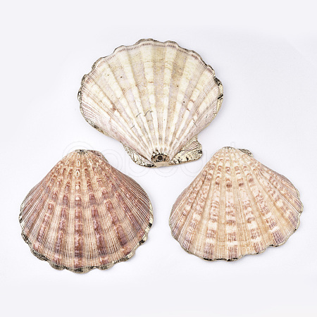 Electroplate Sea Shell Big Pendants SHEL-T012-47-1
