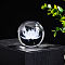 Inner Carving Glass Crystal Ball Diaplay Decoration, Fengshui Home Decor, Flower, 60mm