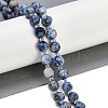 Natural Blue Spot Jasper Beads Strands G-G182-B31-03-2