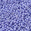 Baking Paint Glass Seed Beads SEED-P006-03A-34-3