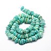 Natural Amazonite Chip Beads Strands X-G-E271-108-2