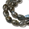 Natural Labradorite Beads Strands G-P544-D06-01-4