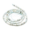 Natural Larimar Beads Strands G-A187-02C-2