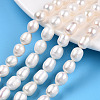 Natural Cultured Freshwater Pearl Beads Strands PEAR-L001-C-03-6