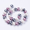 Shell Pearl Beads Strands BSHE-L035-E01-2